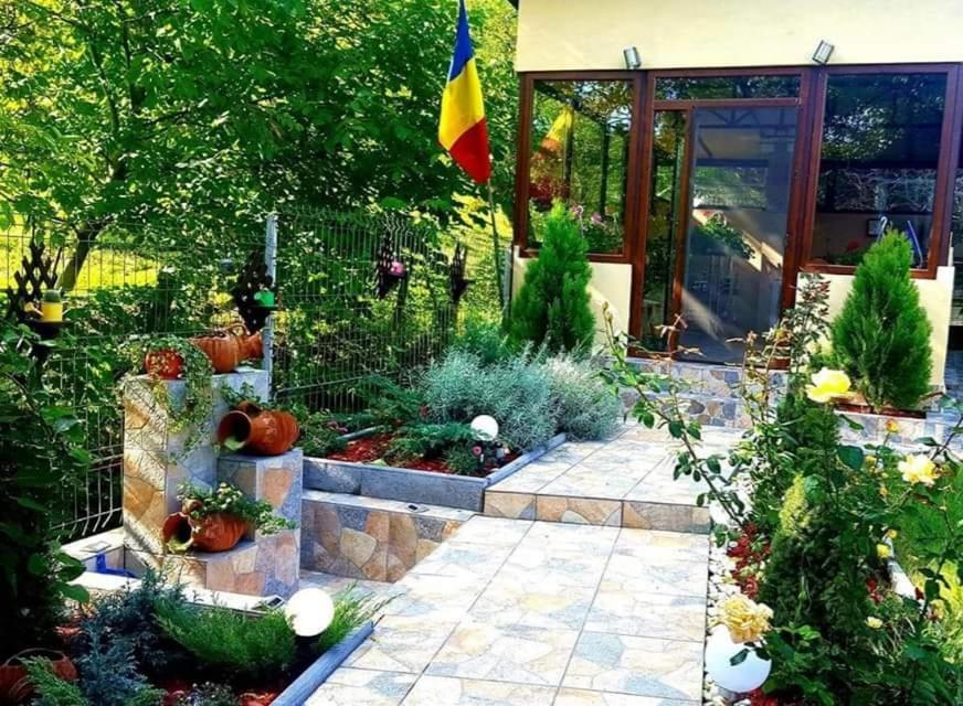 Hotel Casa Alex à Sărata-Monteoru Extérieur photo