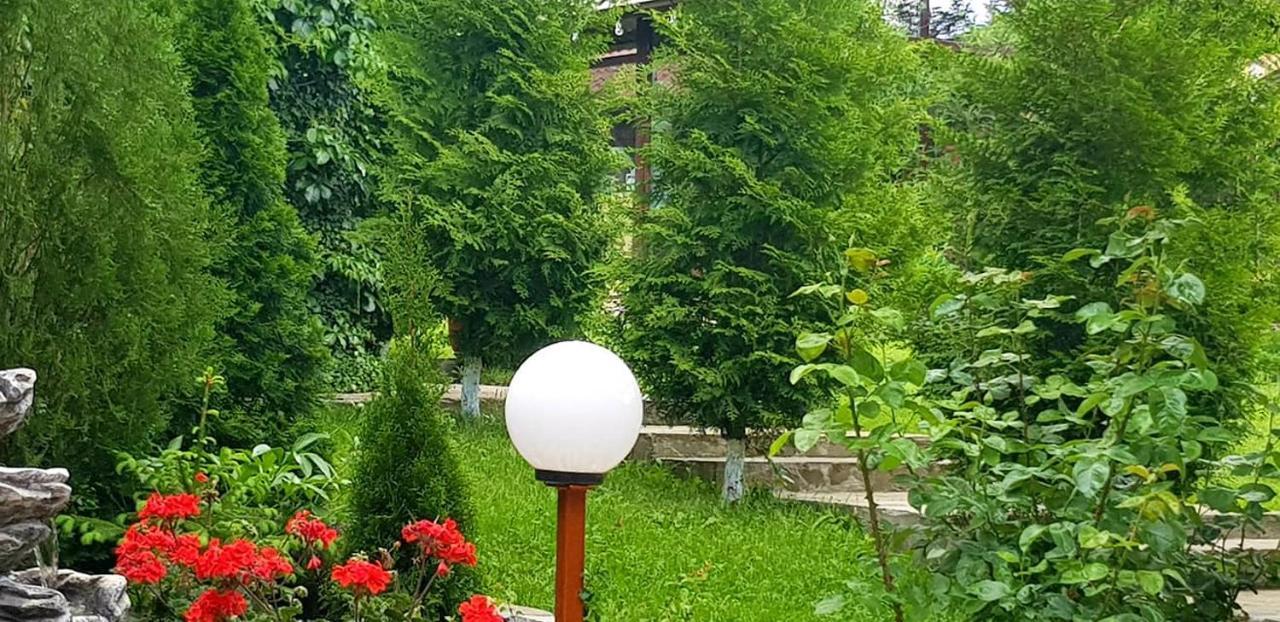 Hotel Casa Alex à Sărata-Monteoru Extérieur photo