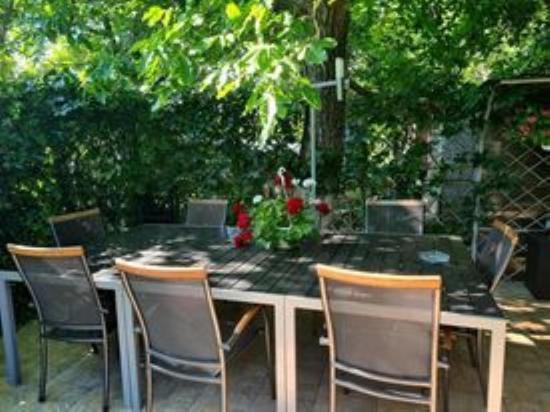 Hotel Casa Alex à Sărata-Monteoru Extérieur photo