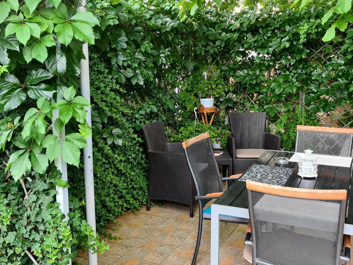 Hotel Casa Alex à Sărata-Monteoru Extérieur photo