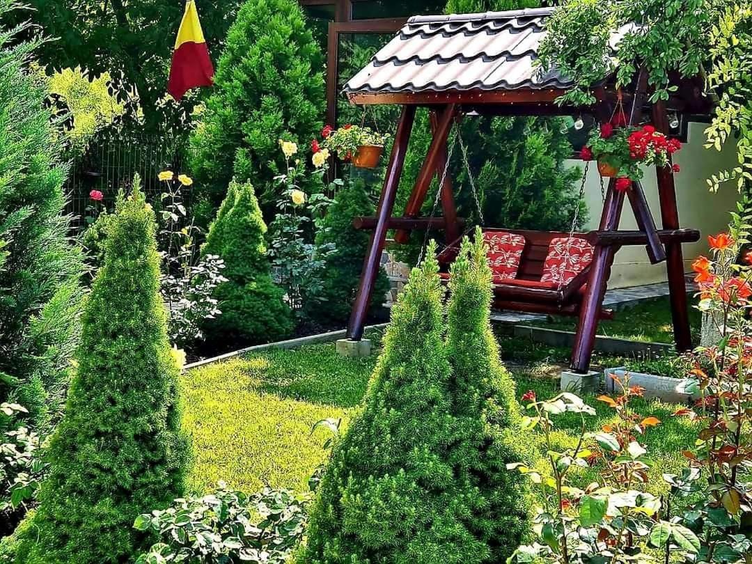 Hotel Casa Alex à Sărata-Monteoru Extérieur photo