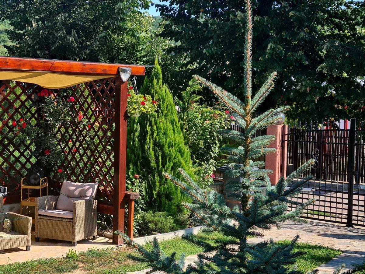 Hotel Casa Alex à Sărata-Monteoru Extérieur photo