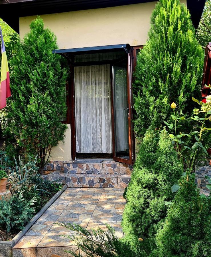 Hotel Casa Alex à Sărata-Monteoru Extérieur photo