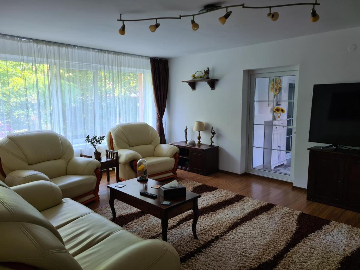 Hotel Casa Alex à Sărata-Monteoru Extérieur photo