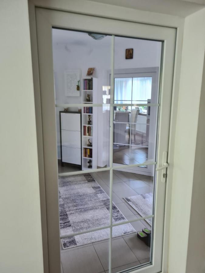 Hotel Casa Alex à Sărata-Monteoru Extérieur photo