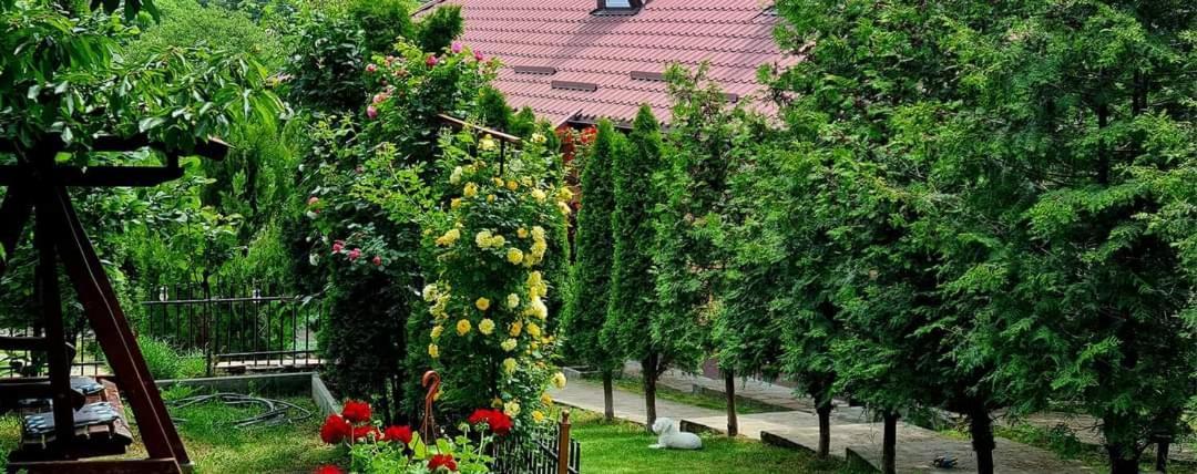Hotel Casa Alex à Sărata-Monteoru Extérieur photo