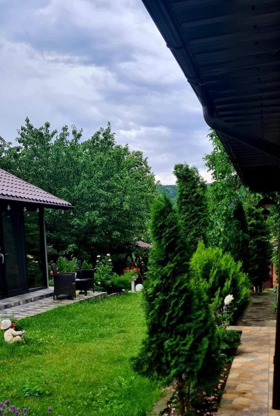 Hotel Casa Alex à Sărata-Monteoru Extérieur photo